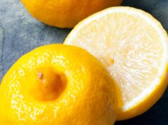 toutes ses utilisations et propriétés toutes ses utilisations et propriétés