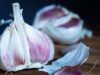 Comment se déroule la cure d’ail tibétaine ? Comment se déroule la cure d'ail tibétaine ?