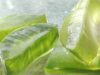 Comment appliquer l’aloe vera pour soigner la peau ? Comment appliquer l'aloe vera pour soigner la peau ?