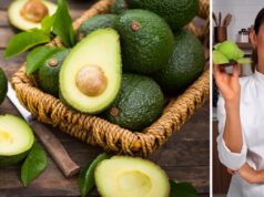 Es-tu un fan d’avocats ? Un expert t’explique comment le choisir en fonction de la couleur du pédoncule et les astuces pour le conserver au frais. Es-tu un fan d'avocats ? Un expert t'explique comment le choisir en fonction de la couleur du pédoncule et les astuces pour le conserver au frais.