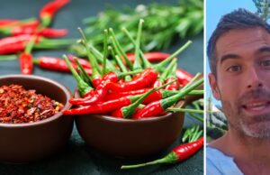 Le nutritionniste Pablo Ojeda révèle les 6 aliments qui consomment le plus de calories lorsque tu les métabolises : « ils ont besoin de plus d’énergie ». Le nutritionniste Pablo Ojeda révèle les 6 aliments qui consomment le plus de calories lorsque tu les métabolises : "ils ont besoin de plus d'énergie".