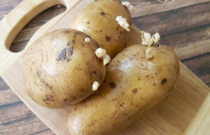 L’astuce facile pour empêcher tes pommes de terre de germer L'astuce facile pour empêcher tes pommes de terre de germer